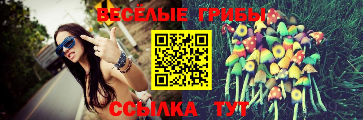 Галлюциногенные грибы MAGIC MUSHROOMS  Вход с VPN  Псилоцибиновые грибы Magic Shrooms  Моздок 