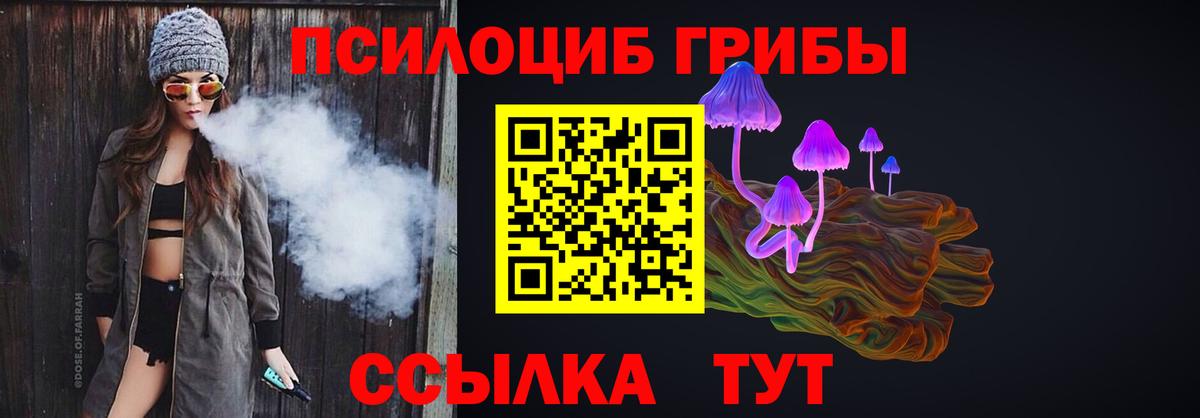 Галлюциногенные грибы Cubensis Моздок